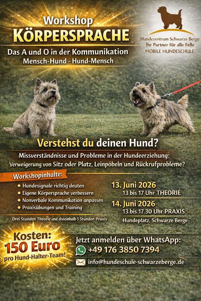 Hundetreffen-Seminar Kommunikation-Profilbild