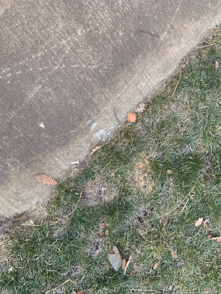 Giftköder-Weißes Pulver Gleisdreieckpark-Profilbild