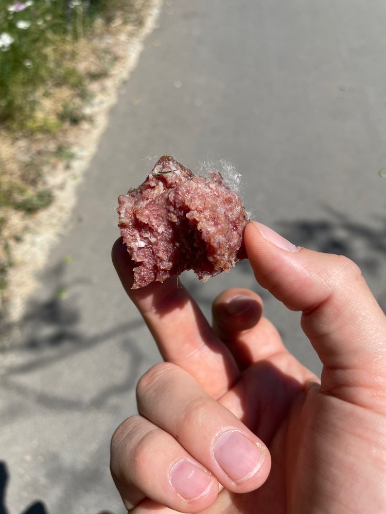 Giftköder-Verdächtiges Wurststück-Profilbild