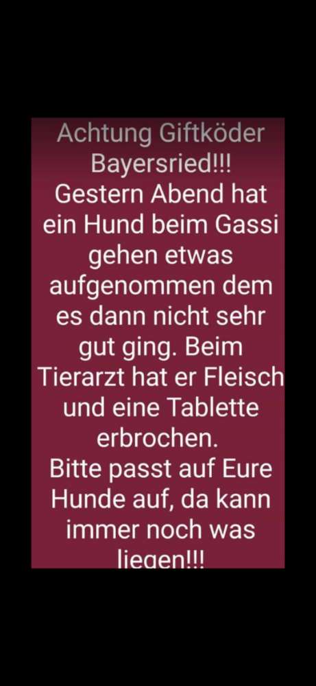 Giftköder-Giftköder-Profilbild