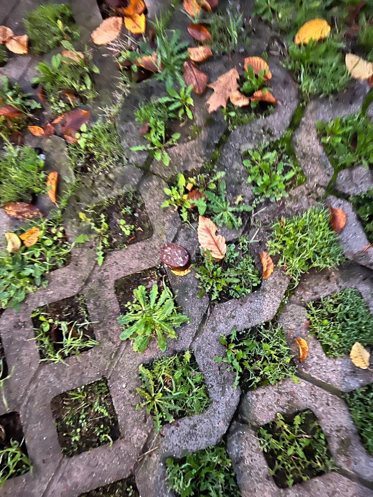 Giftköder-Wurst auf Parkplatz gegenüber Haribo-Profilbild