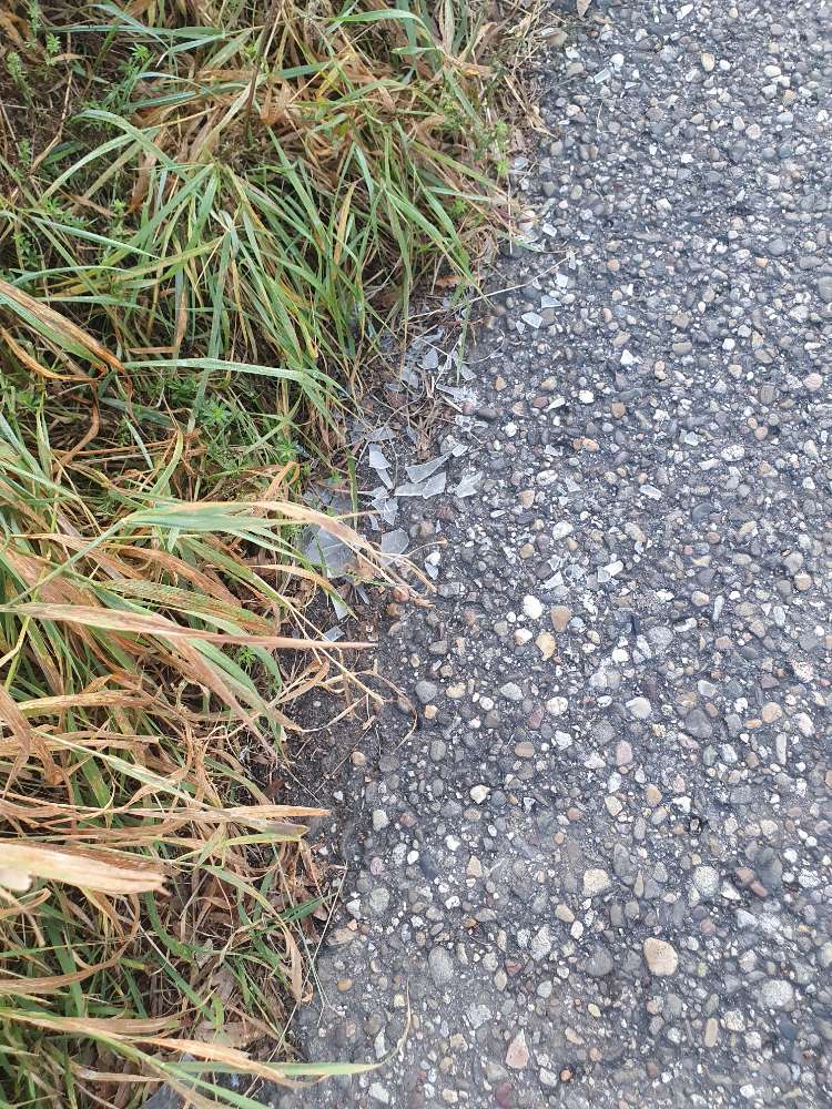 Giftköder-Glas scherben-Profilbild