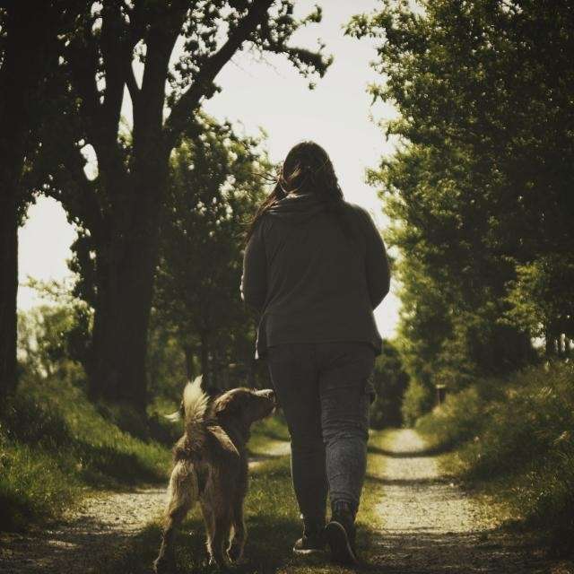 Hundetreffen-Spaziergang-Profilbild