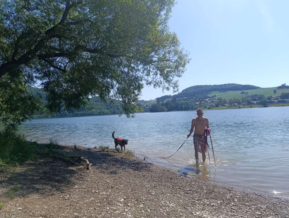 Hundetreffen-Am Diemelsee spielen-Profilbild