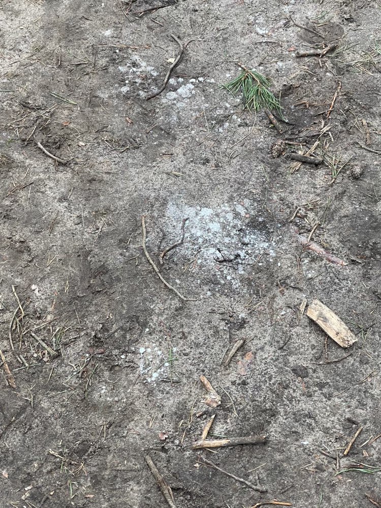 Giftköder-Weißes Pulver auf dem Waldweg (Köpenick)-Profilbild