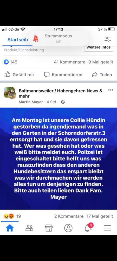 Giftköder-Giftköder, Hund verstorben-Profilbild