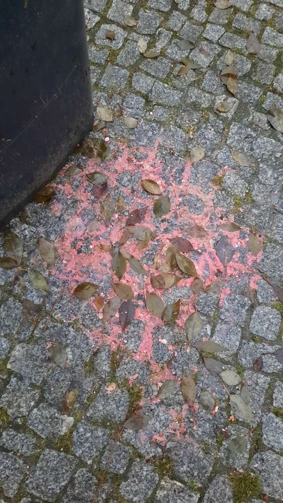 Giftköder-Rattengift-Profilbild