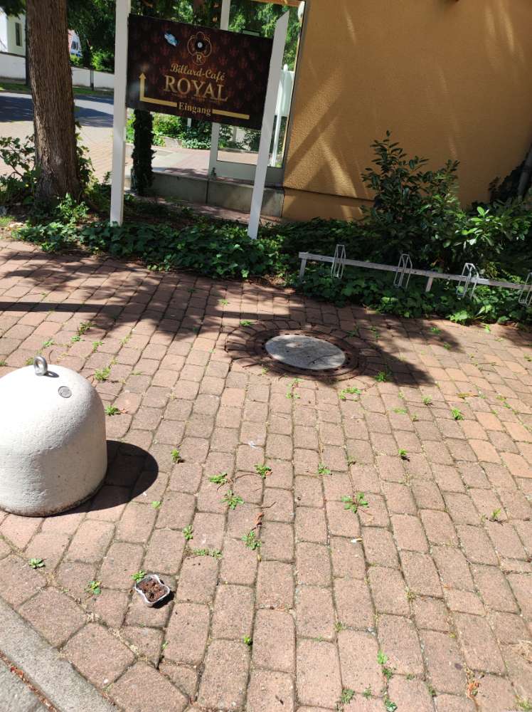 Giftköder-Pastete-Profilbild