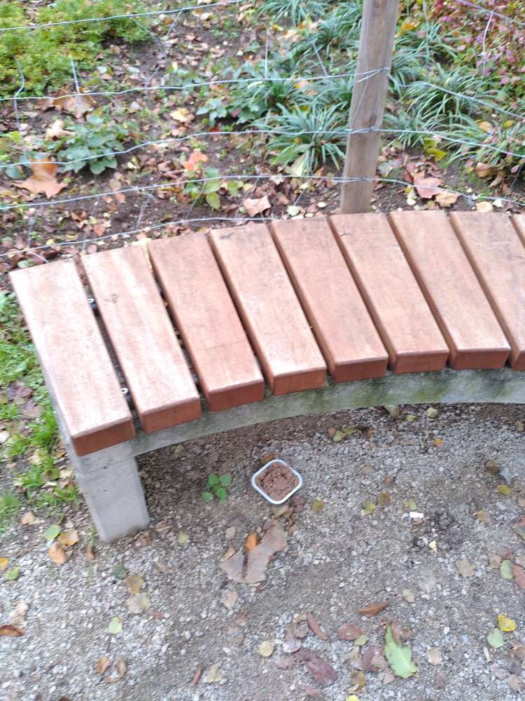 Giftköder-Ausgelegtes Hundefutter-Profilbild