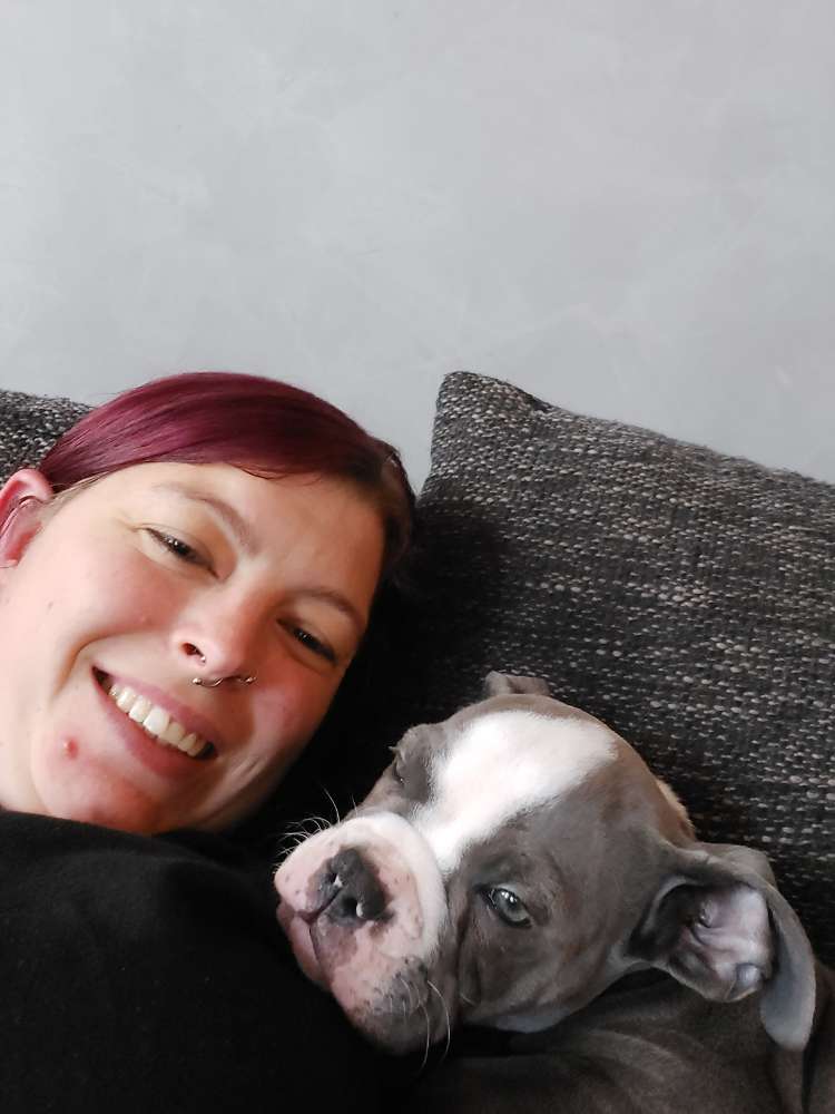 Hundetreffen-Welpentreff-Profilbild