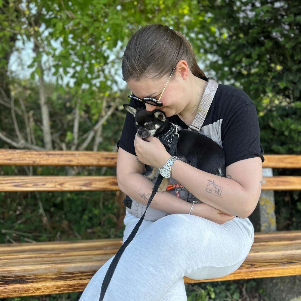 Hundetreffen-Chihuahua Treffen München-Profilbild