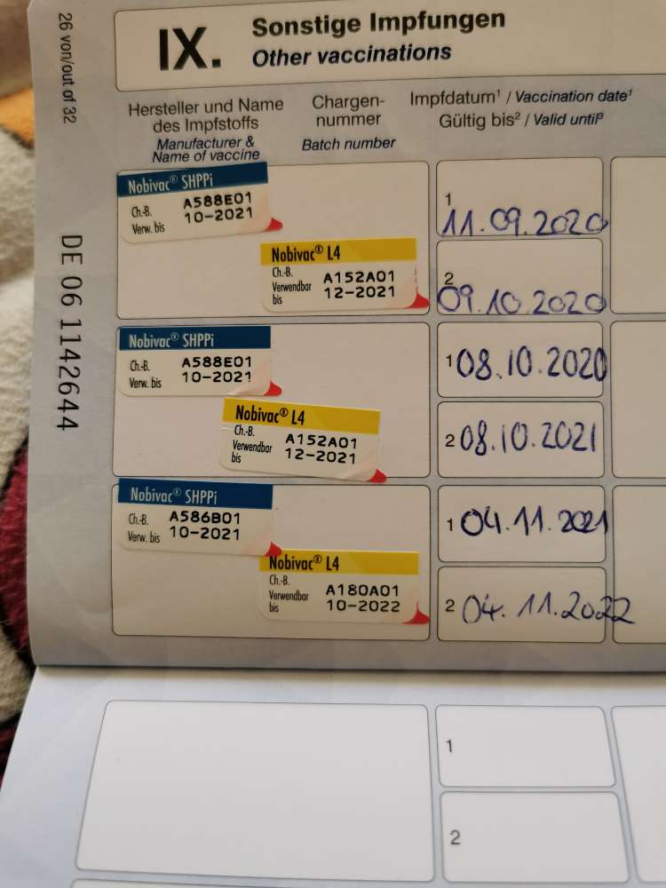 Giftköder-Zwingerhusten-Profilbild