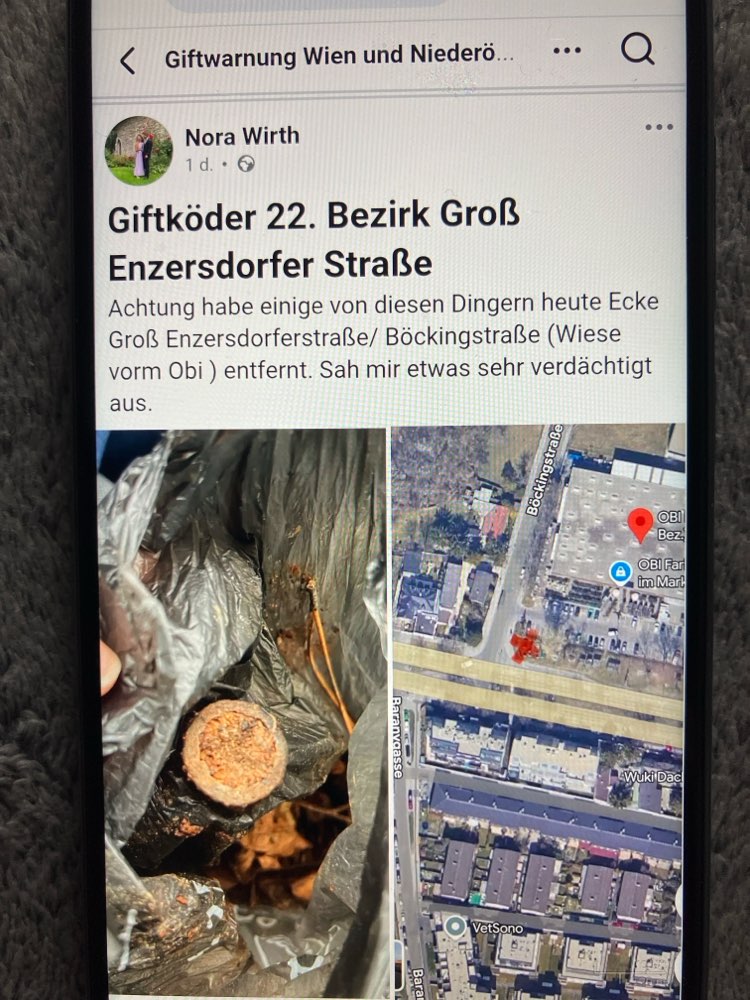 Giftköder-Giftköder, Wien 22, Groß-Enzersdorfer St-Profilbild