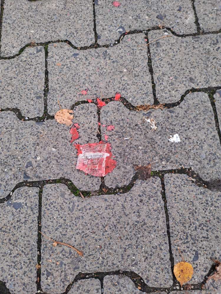 Giftköder-Rattengift-Profilbild