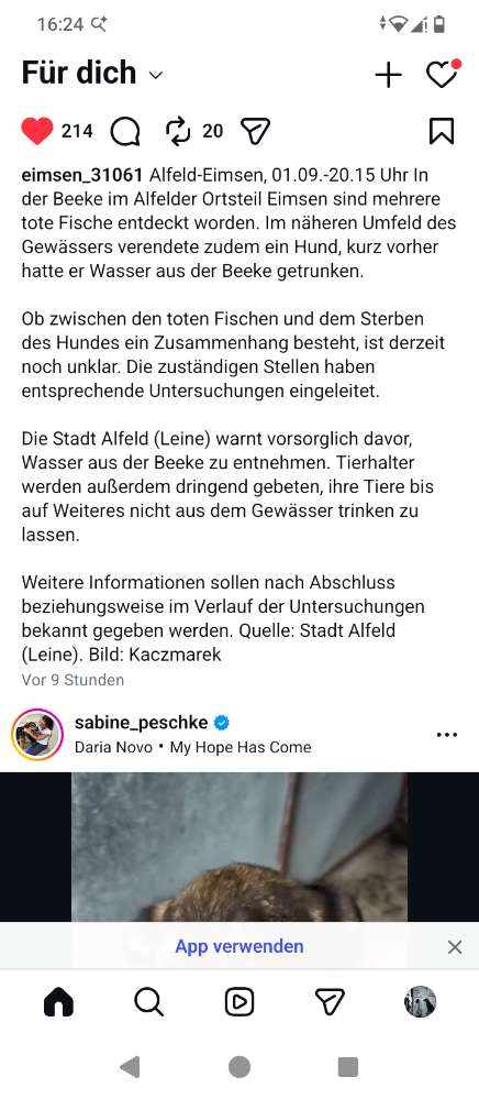 Giftköder-Gift???-Profilbild