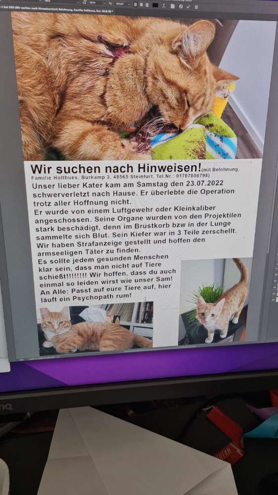 Giftköder-Tödliche Verletzung durch Schusswaffe-Profilbild