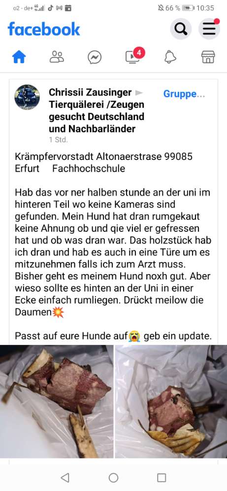 Giftköder-Möglicherweise Giftköder-Profilbild