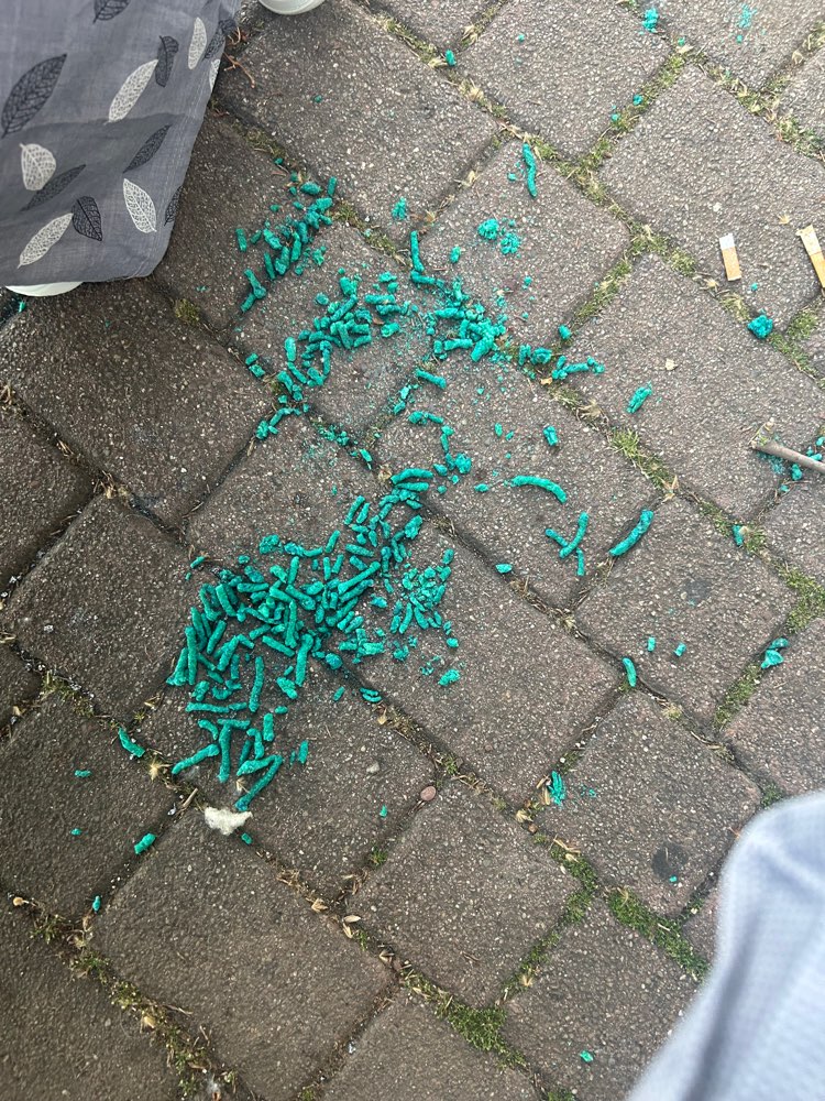 Giftköder-Rattengift-Profilbild