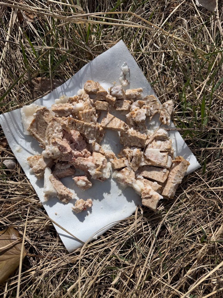 Giftköder-Verdächtiger Giftköder-Profilbild