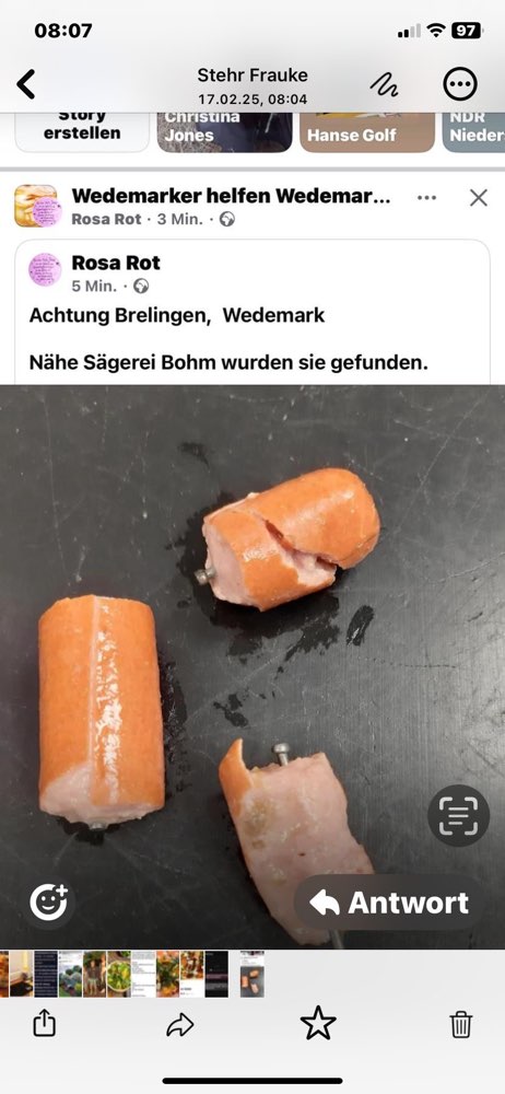 Giftköder-Wurststücke mit Nägeln-Profilbild