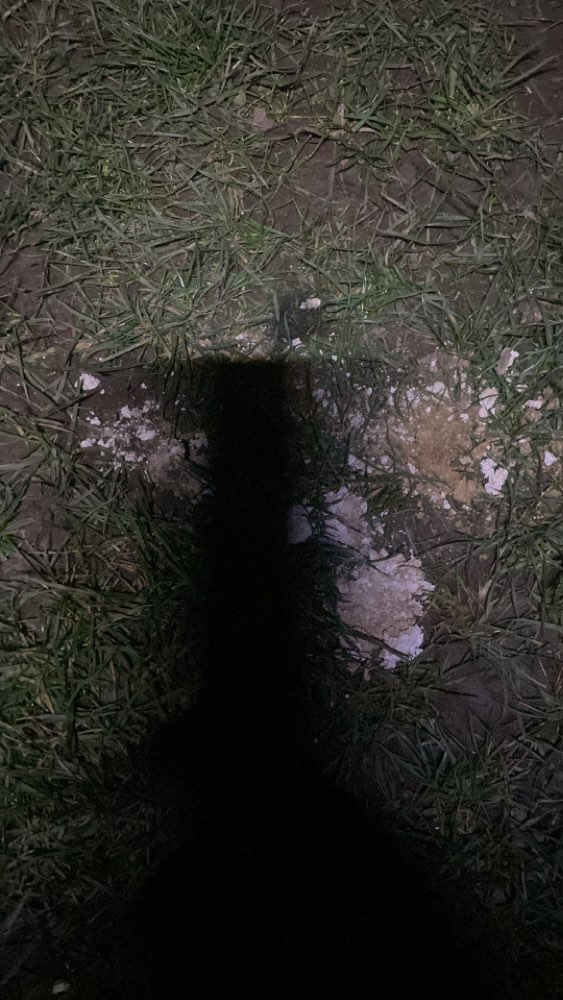 Giftköder-Gift auf Hundewiese im Beethovenpark-Profilbild