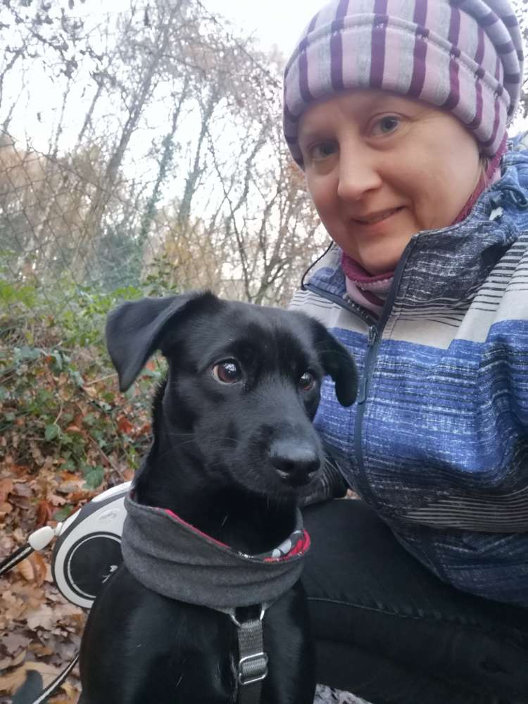 Hundetreffen-Gemeinsam an die Wupper-Profilbild
