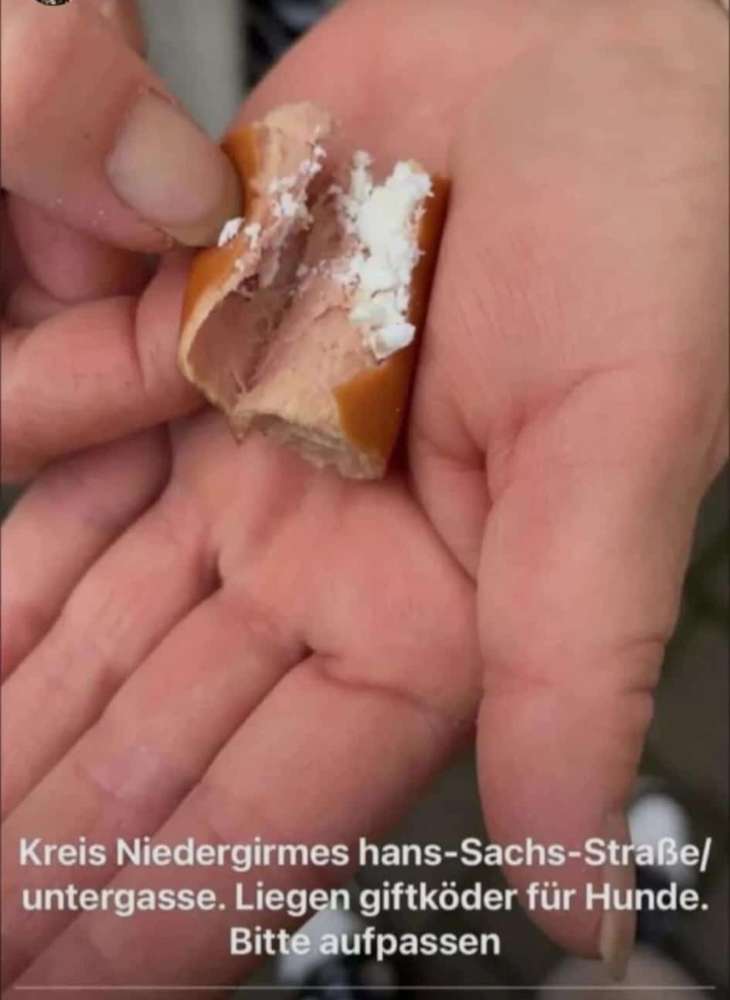 Giftköder-Giftköder-Profilbild