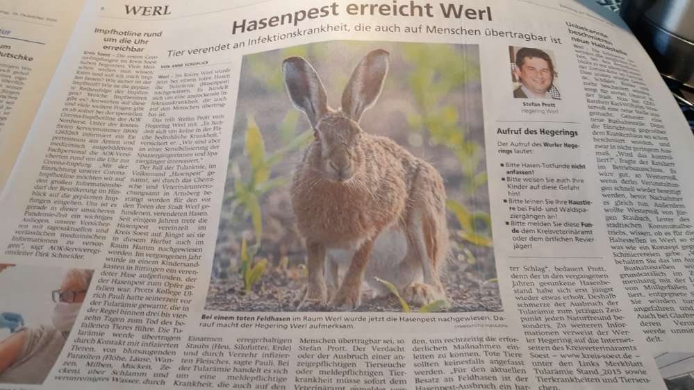 Giftköder-Hasenpest-Profilbild