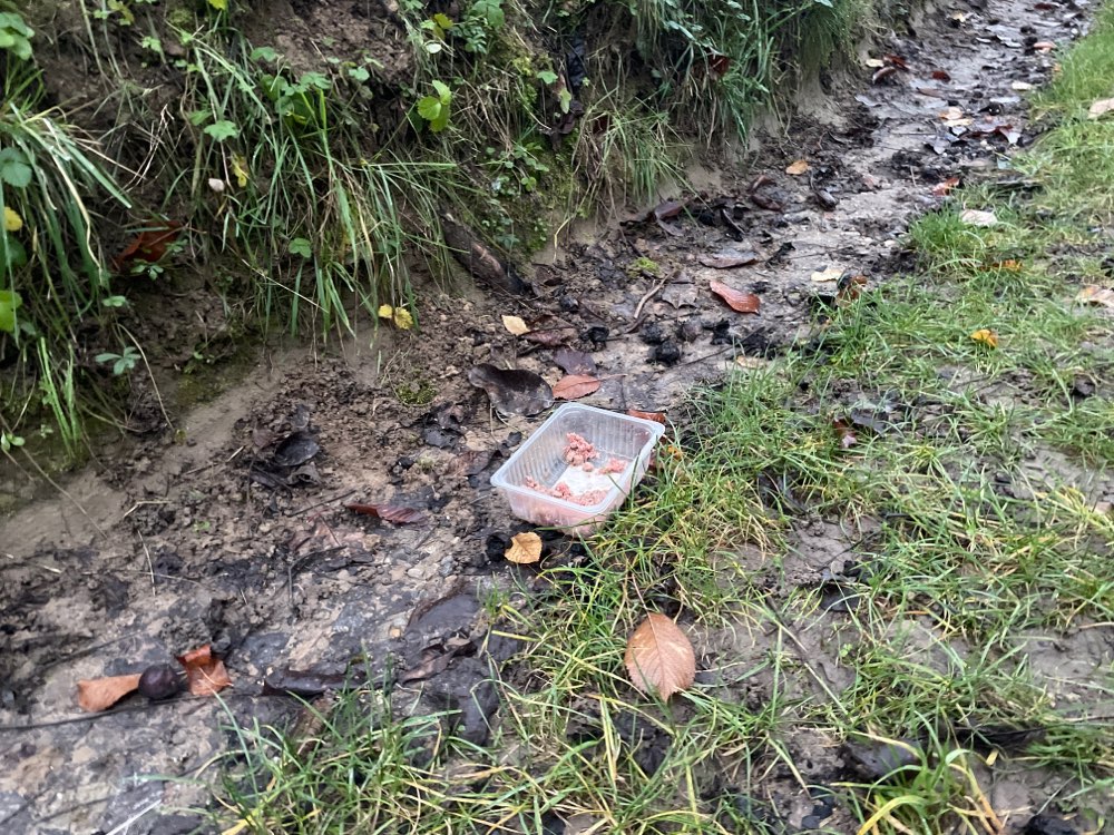 Giftköder-Möglicher Giftköder im Hohlweg-Profilbild