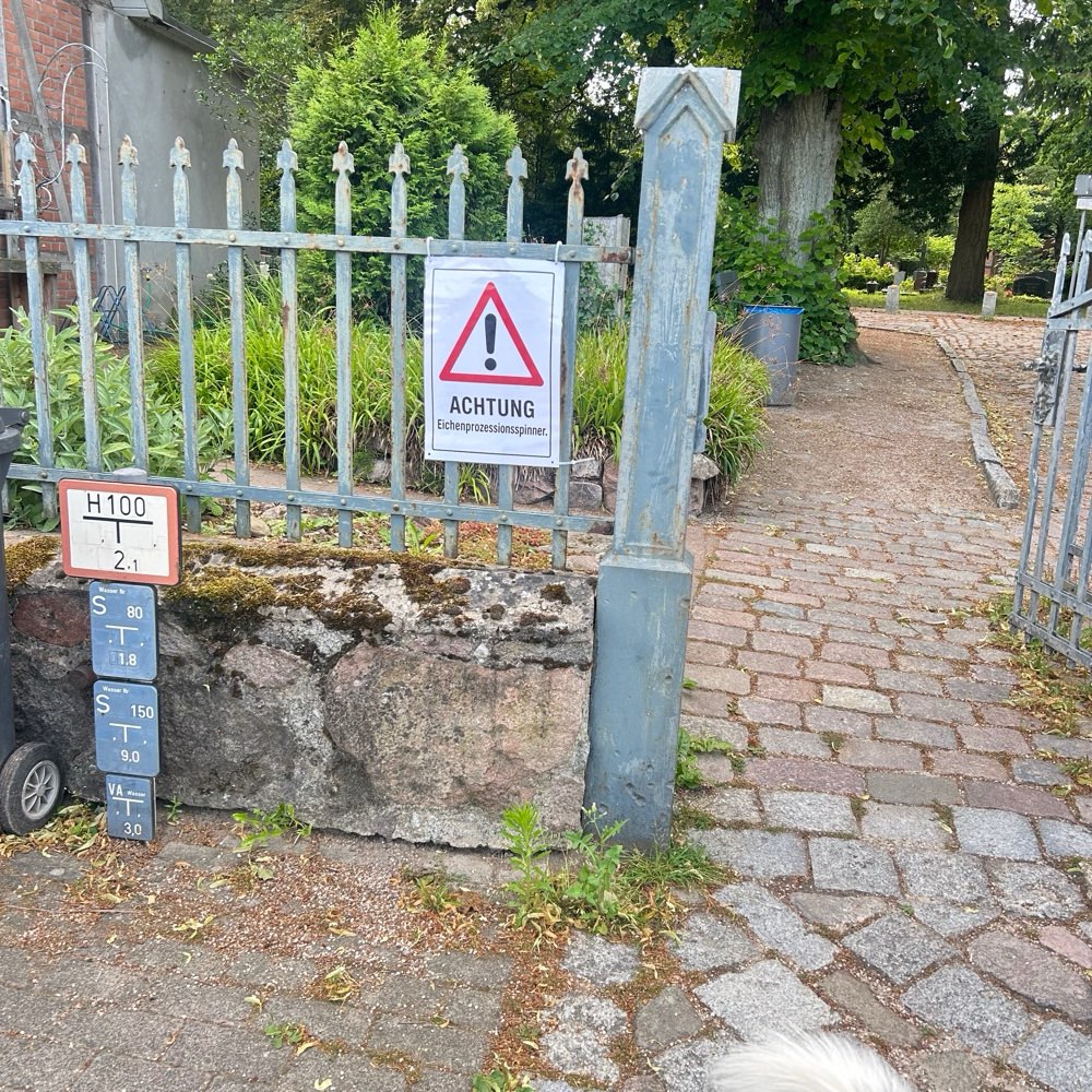 Giftköder-Eichenprozessionsspinner-Profilbild