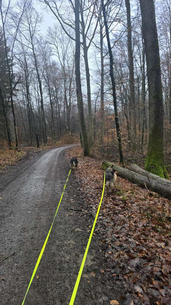 Sauwetterbilder☔️🌧🌩🌫🌪⛈️ Banner