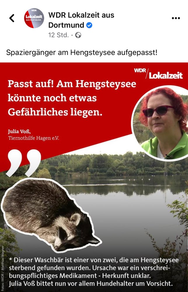 Giftköder-Vergiftete Waschbären-Profilbild