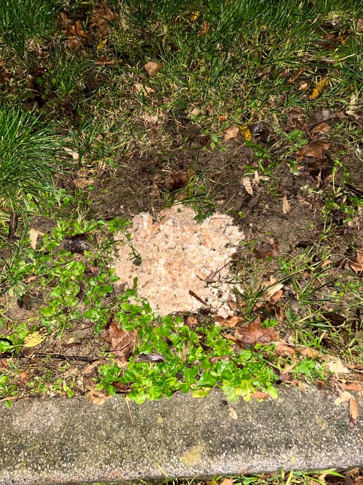 Giftköder-Undefinierbare Masse-Profilbild