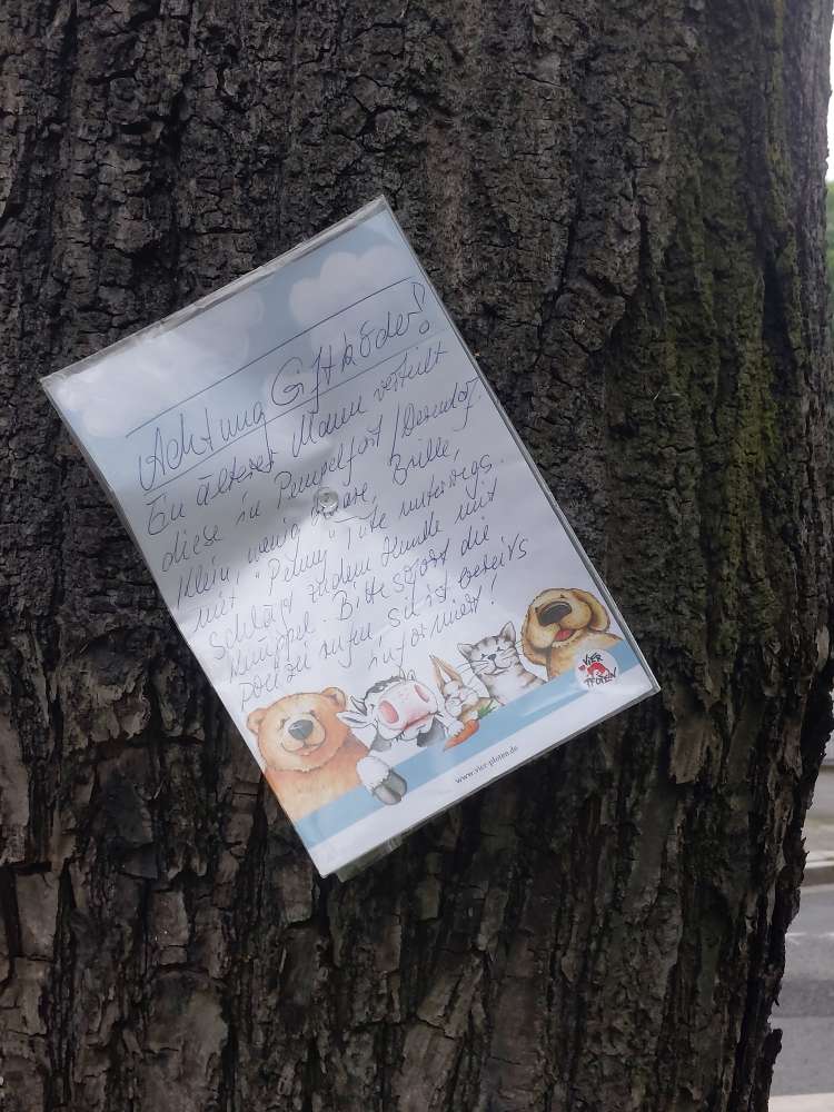 Giftköder-Möglicherweise Giftköder-Profilbild