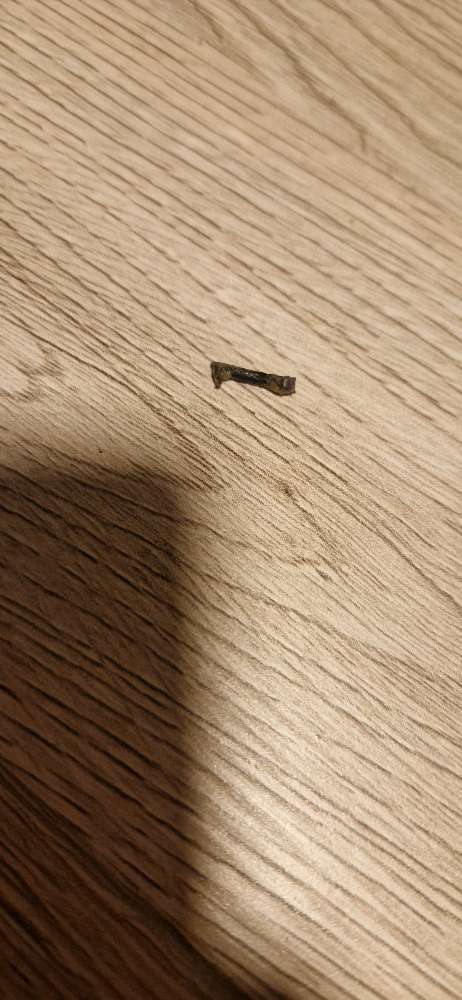 Giftköder-Metallteile im Fleisch von Haustierkost-Profilbild