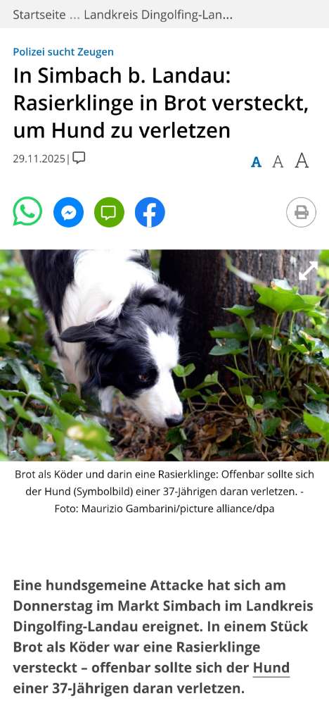 Giftköder-Brotstück mit Rasierklinge-Profilbild