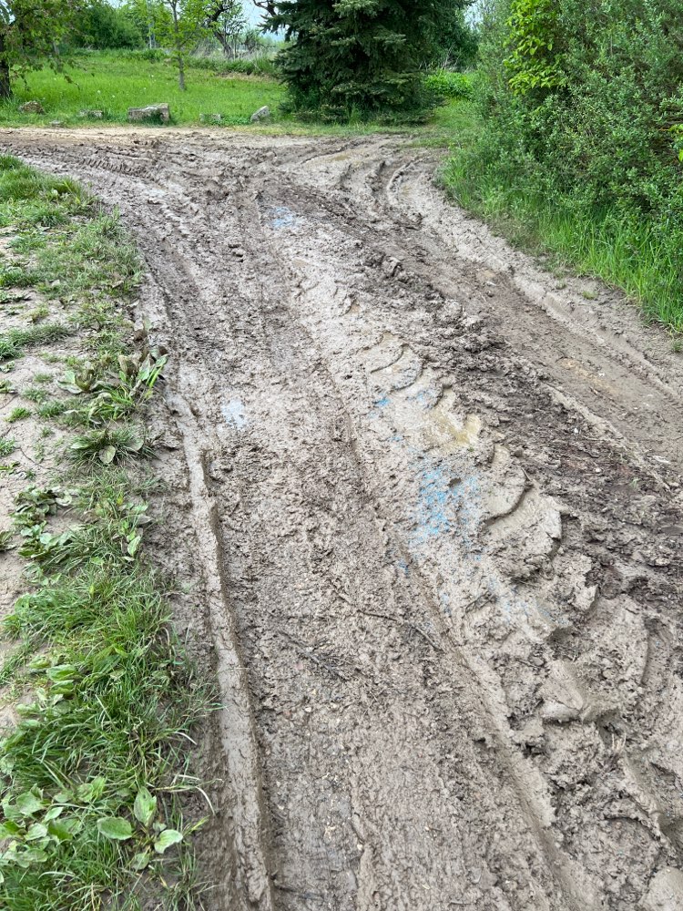 Giftköder-Blaukorn/Rattengift-Profilbild