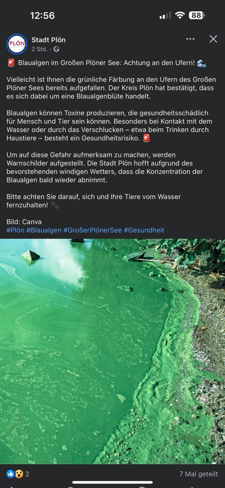 Giftköder-ACHTUNG Blaualgen-Profilbild