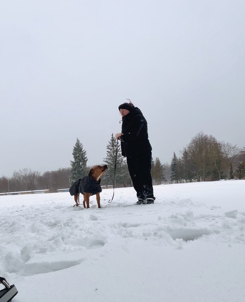 Hundetreffen-Soziale Kontakte knüpfen bei entspannten Gassirunden-Profilbild