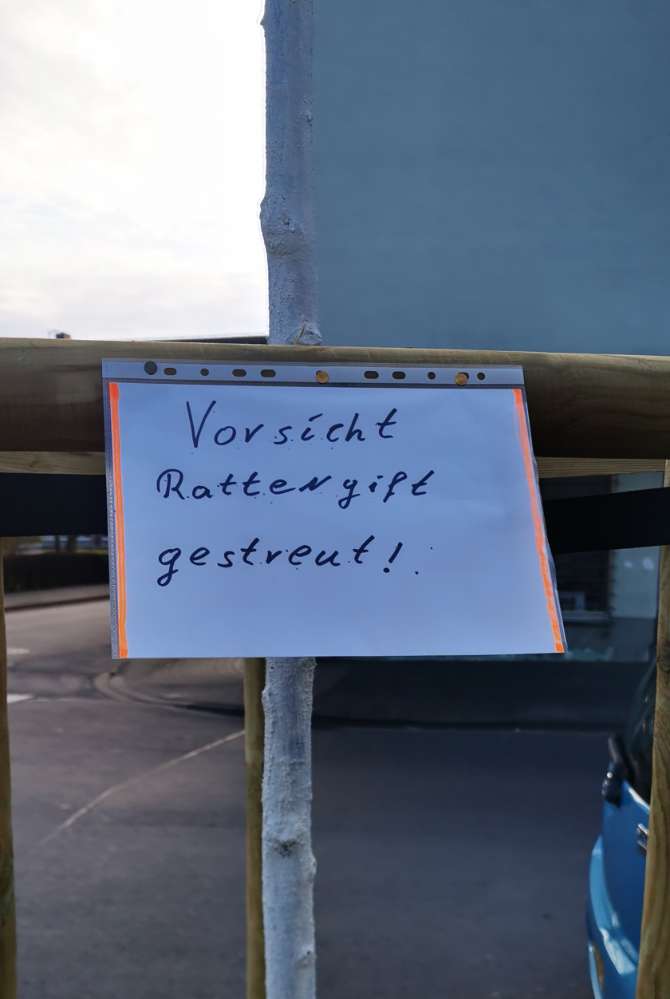 Giftköder-Vorsicht, Rattengift gestreut!-Profilbild