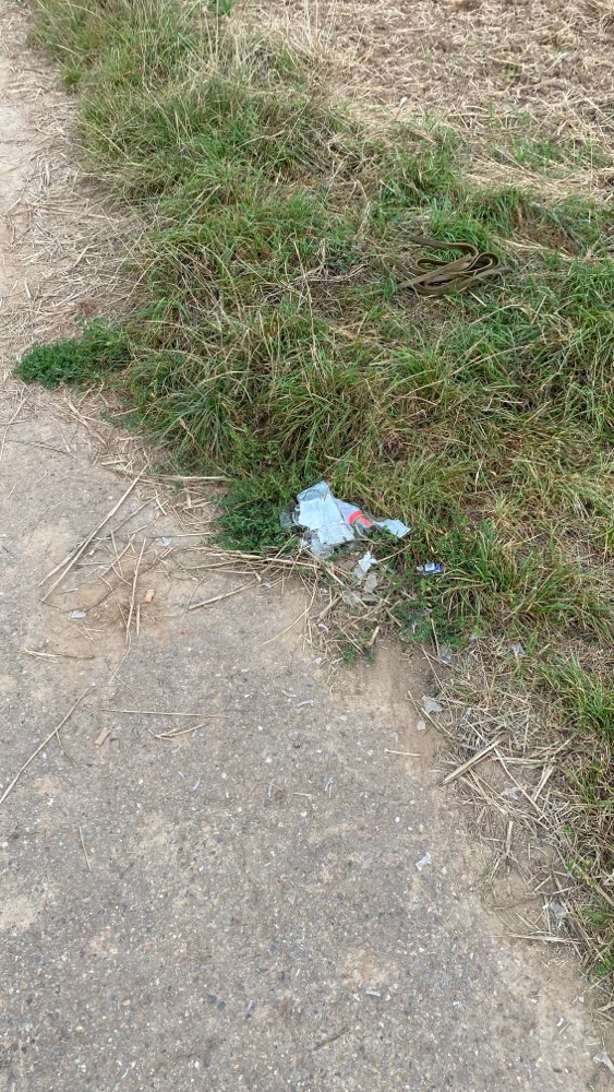 Giftköder-Achtung Glasscherben!!!-Profilbild