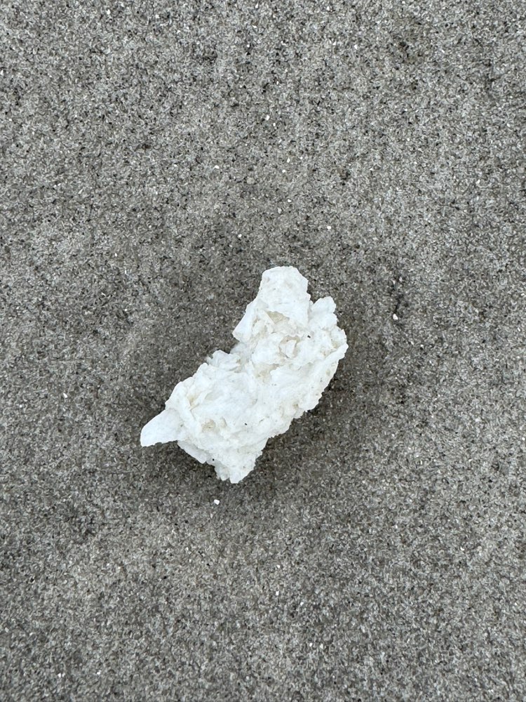 Giftköder-Paraffin am gesamten Strand von SPO-Profilbild