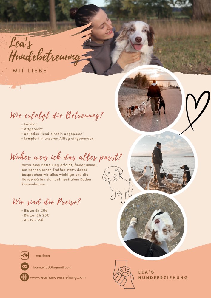 Hundetreffen-Liebevolle Hundebetreuung & Gassiausführungen💘-Profilbild