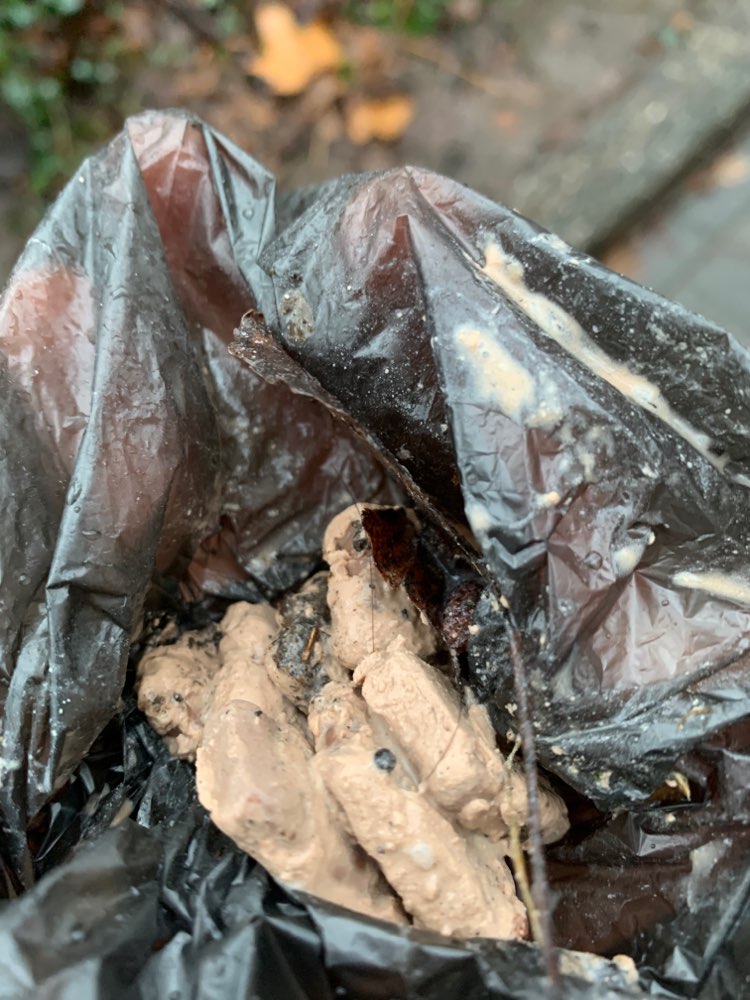 Giftköder-Vermutlich Giftköder-Profilbild