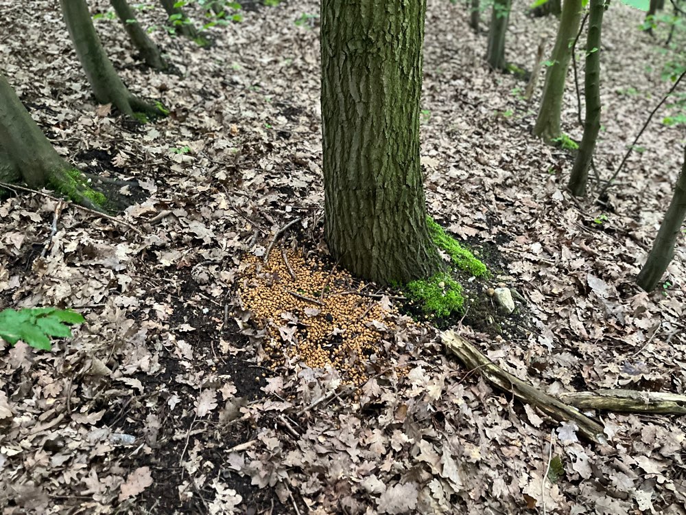 Giftköder-Evtl. Giftköder am Otto Maigler See-Profilbild