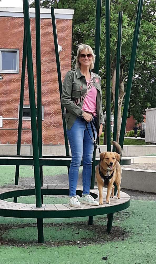 Hundetreffen-Gassirunden/Spieltreff-Profilbild