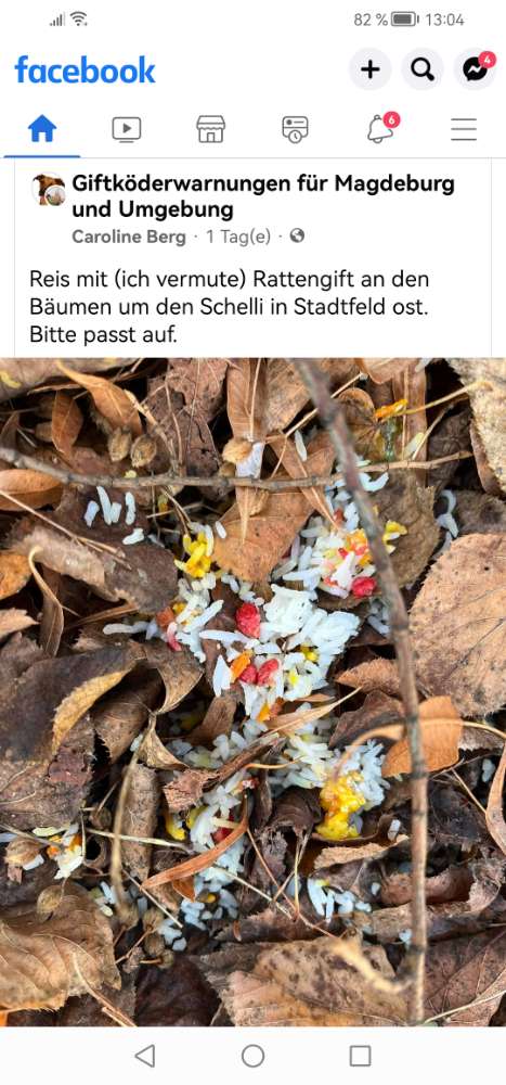 Giftköder-Vermutlich Giftköder-Profilbild