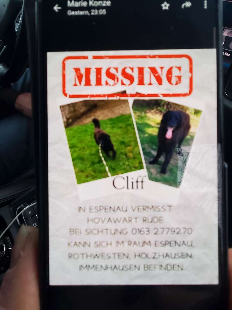 Suchmeldung-Cliff-Profilbild