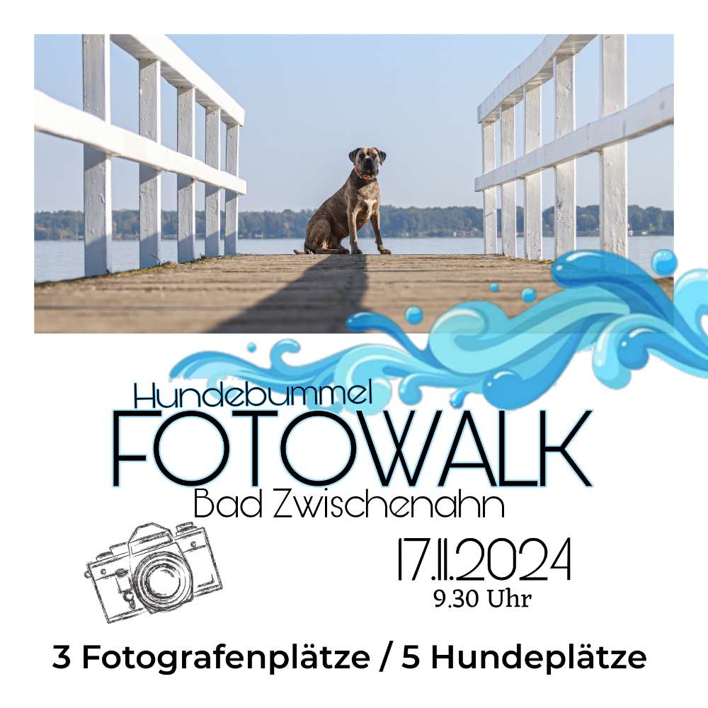 Hundetreffen-Fotowalk Bad Zwischenahn-Profilbild