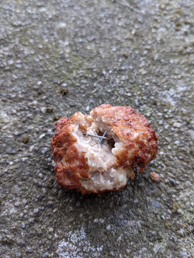 Giftköder-Giftköder mit Nägeln gefunden!-Profilbild